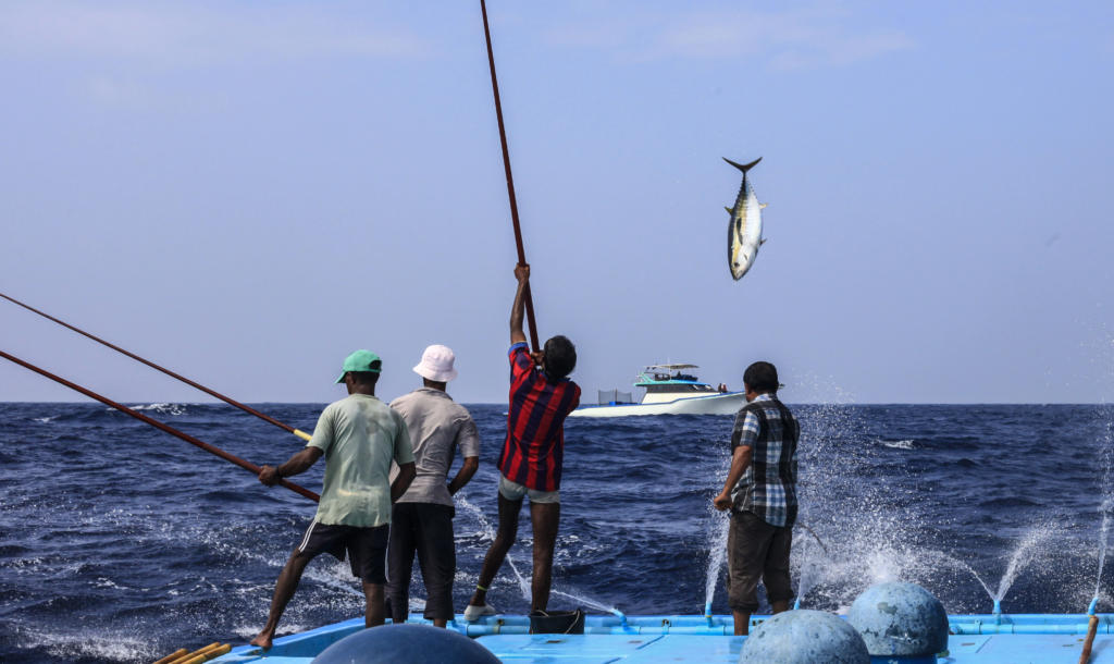 One hook, One line, One fish at a time equals sustainable fishery